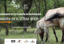 Abierta la participación en el Concurso de Fotografía de Naturaleza ‘Primavera en el Sistema Ibérico Sur’