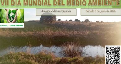 VII DÍA MUNDIAL DEL MEDIO AMBIENTE