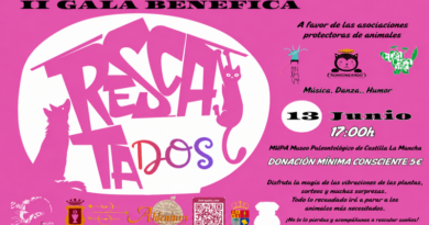 La II Gala Benéfica “Rescátame” unirá música, danza y humor en Cuenca para ayudar a los animales más necesitados La II Gala Benéfica “Rescátame” unirá música, danza y humor en Cuenca para ayudar a los animales más necesitados