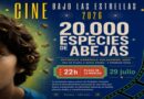 20.000 especies de abejas llega al Cine Bajo las Estrellas de Cuenca