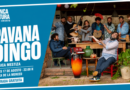 Pavana Dingo llevará su «sonido serrano tropical» a la Plaza de la Merced