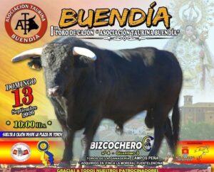 Cartel del I Toro de Cajón Asociación Taurina Buendía, domingo 13 de septiembre de 2026