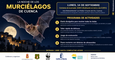 Cuenca celebra ‘La Noche de los Murciélagos’ en el Aula Medioambiental de Los Pinillos para acercar la biodiversidad a la ciudadanía