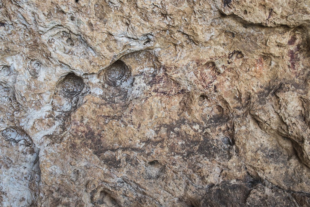 Pinturas rupestres de la Cueva de la Vieja, en Alpera (Albacete)