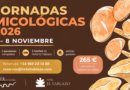 Setas, trufa negra y salidas al campo: el Hotel El Tablazo celebra sus Jornadas Micológicas en Villalba de la Sierra