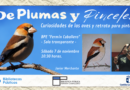 «De plumas y pinceles»: curiosidades de las aves y un rato para pintar con Javier Merchante en la Biblioteca de Cuenca