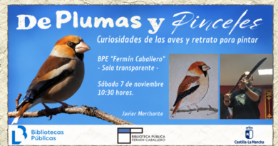 «De plumas y pinceles»: curiosidades de las aves y un rato para pintar con Javier Merchante en la Biblioteca de Cuenca