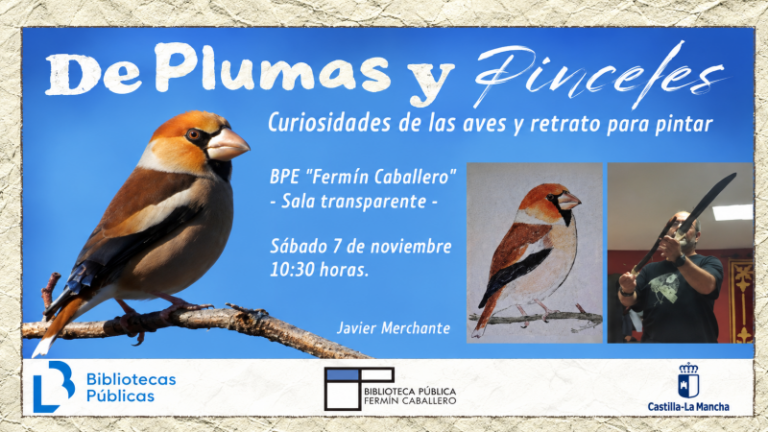 «De plumas y pinceles»: curiosidades de las aves y un rato para pintar con Javier Merchante en la Biblioteca de Cuenca