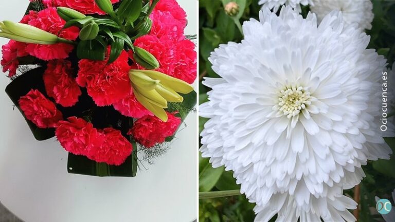 Claveles, gladiolos y crisantemos: los puestos de flores de la Plaza de España acompañan a Cuenca en Todos los Santos