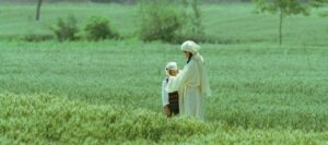 Fotograma de «Vivir la tierra», de Huo Meng
